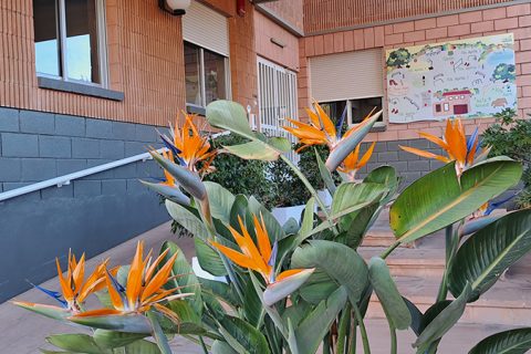 colegio-helios-instalaciones-accesos-01